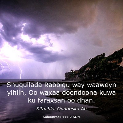 Picture 03 - Sabuurradii 111:2 SOM - Shuqullada Rabbigu way waaweyn yihiin, Oo waxaa - Bible Verse Picture