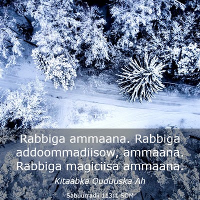 Picture 03 - Sabuurradii 113:1 SOM - Rabbiga ammaana. Rabbiga addoommadiisow, ammaana. - Bible Verse Picture