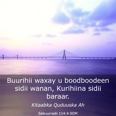Picture 03 - Sabuurradii 114:4 SOM - Buurihii waxay u boodboodeen sidii wanan, - Bible Verse Picture