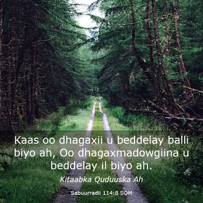 Picture 03 - Sabuurradii 114:8 SOM - Kaas oo dhagaxii u beddelay balli biyo ah, Oo - Bible Verse Picture