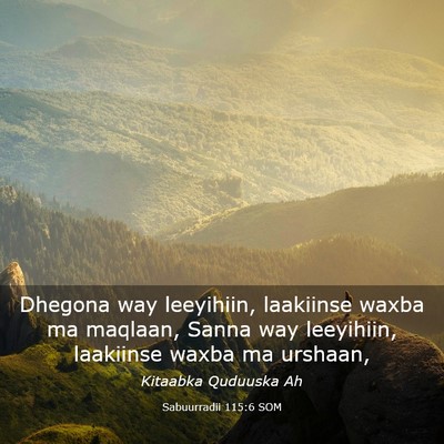 Picture 03 - Sabuurradii 115:6 SOM - Dhegona way leeyihiin, laakiinse waxba ma - Bible Verse Picture