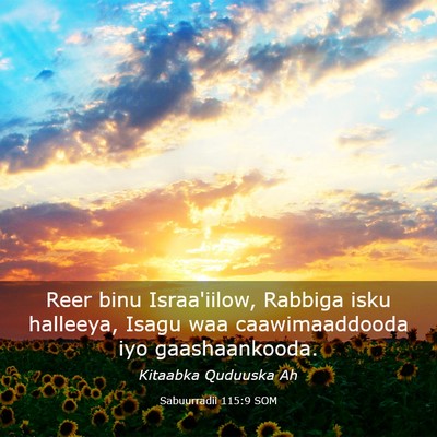Picture 03 - Sabuurradii 115:9 SOM - Reer binu Israa'iilow, Rabbiga isku halleeya, - Bible Verse Picture