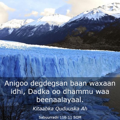 Picture 03 - Sabuurradii 116:11 SOM - Anigoo degdegsan baan waxaan idhi, Dadka oo - Bible Verse Picture