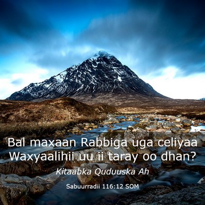 Picture 03 - Sabuurradii 116:12 SOM - Bal maxaan Rabbiga uga celiyaa Waxyaalihii uu ii - Bible Verse Picture