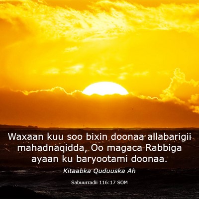 Picture 03 - Sabuurradii 116:17 SOM - Waxaan kuu soo bixin doonaa allabarigii - Bible Verse Picture