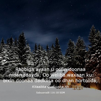 Picture 03 - Sabuurradii 116:18 SOM - Rabbiga ayaan u oofin doonaa nidarradaydii, Oo - Bible Verse Picture
