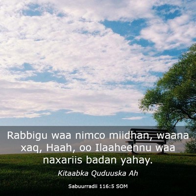 Picture 03 - Sabuurradii 116:5 SOM - Rabbigu waa nimco miidhan, waana xaq, Haah, oo - Bible Verse Picture