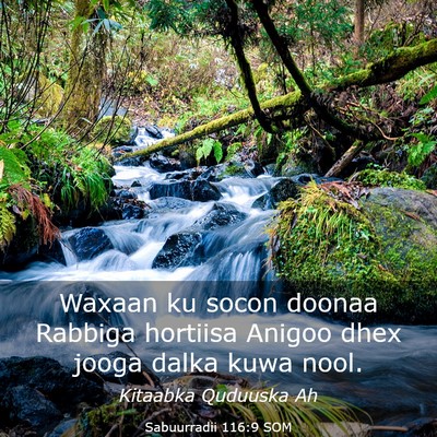 Picture 03 - Sabuurradii 116:9 SOM - Waxaan ku socon doonaa Rabbiga hortiisa Anigoo - Bible Verse Picture