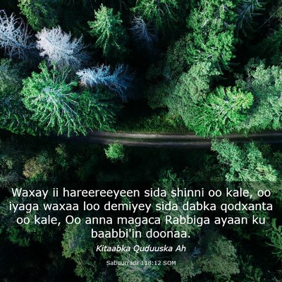Picture 03 - Sabuurradii 118:12 SOM - Waxay ii hareereeyeen sida shinni oo kale, oo - Bible Verse Picture