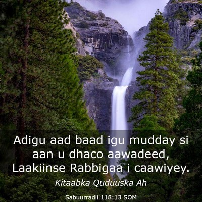 Picture 03 - Sabuurradii 118:13 SOM - Adigu aad baad igu mudday si aan u dhaco - Bible Verse Picture