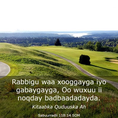Picture 03 - Sabuurradii 118:14 SOM - Rabbigu waa xooggayga iyo gabaygayga, Oo wuxuu ii - Bible Verse Picture