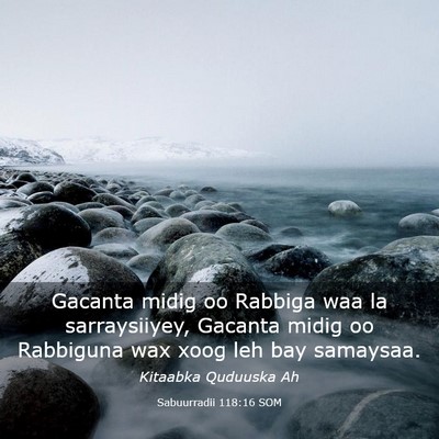 Picture 03 - Sabuurradii 118:16 SOM - Gacanta midig oo Rabbiga waa la sarraysiiyey, - Bible Verse Picture