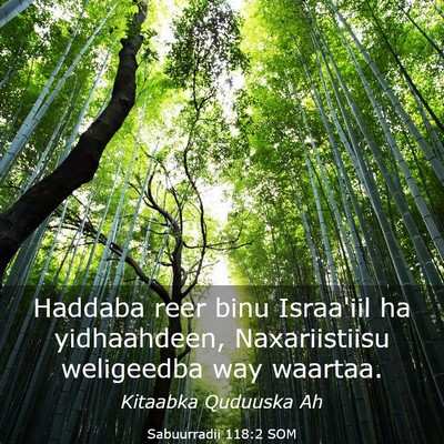 Picture 03 - Sabuurradii 118:2 SOM - Haddaba reer binu Israa'iil ha yidhaahdeen, - Bible Verse Picture