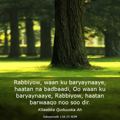 Picture 03 - Sabuurradii 118:25 SOM - Rabbiyow, waan ku baryaynaaye, haatan na - Bible Verse Picture