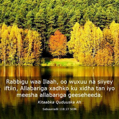 Picture 03 - Sabuurradii 118:27 SOM - Rabbigu waa Ilaah, oo wuxuu na siiyey iftiin, - Bible Verse Picture