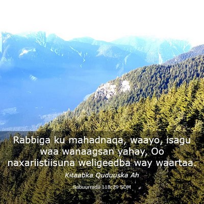 Picture 03 - Sabuurradii 118:29 SOM - Rabbiga ku mahadnaqa, waayo, isagu waa wanaagsan - Bible Verse Picture