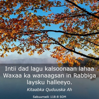 Picture 03 - Sabuurradii 118:8 SOM - Intii dad lagu kalsoonaan lahaa Waxaa ka - Bible Verse Picture