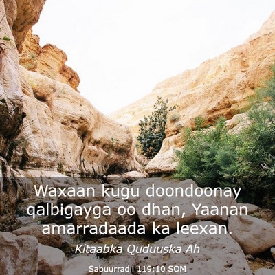 Picture 03 - Sabuurradii 119:10 SOM - Waxaan kugu doondoonay qalbigayga oo dhan, Yaanan - Bible Verse Picture