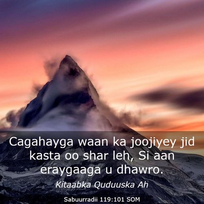 Picture 03 - Sabuurradii 119:101 SOM - Cagahayga waan ka joojiyey jid kasta oo shar leh, - Bible Verse Picture