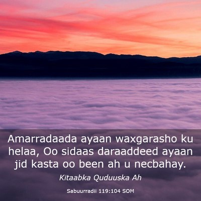 Picture 03 - Sabuurradii 119:104 SOM - Amarradaada ayaan waxgarasho ku helaa, Oo sidaas - Bible Verse Picture