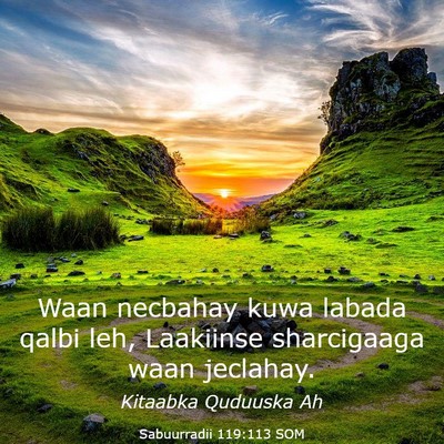 Picture 03 - Sabuurradii 119:113 SOM - Waan necbahay kuwa labada qalbi leh, Laakiinse - Bible Verse Picture