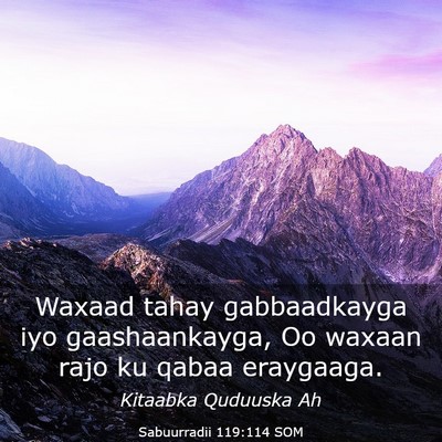 Picture 03 - Sabuurradii 119:114 SOM - Waxaad tahay gabbaadkayga iyo gaashaankayga, Oo - Bible Verse Picture