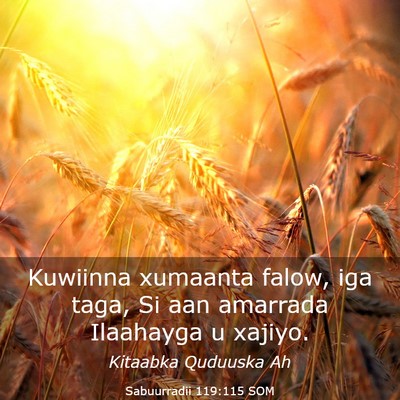 Picture 03 - Sabuurradii 119:115 SOM - Kuwiinna xumaanta falow, iga taga, Si aan - Bible Verse Picture
