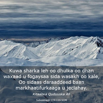 Picture 03 - Sabuurradii 119:119 SOM - Kuwa sharka leh oo dhulka oo dhan waxaad u - Bible Verse Picture