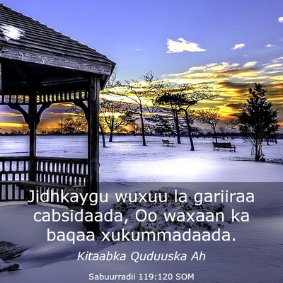 Picture 03 - Sabuurradii 119:120 SOM - Jidhkaygu wuxuu la gariiraa cabsidaada, Oo waxaan - Bible Verse Picture