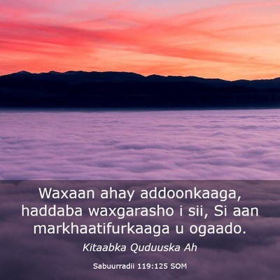 Picture 03 - Sabuurradii 119:125 SOM - Waxaan ahay addoonkaaga, haddaba waxgarasho i - Bible Verse Picture