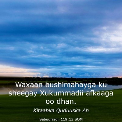 Picture 03 - Sabuurradii 119:13 SOM - Waxaan bushimahayga ku sheegay Xukummadii afkaaga - Bible Verse Picture