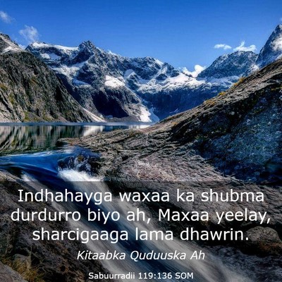 Picture 03 - Sabuurradii 119:136 SOM - Indhahayga waxaa ka shubma durdurro biyo ah, - Bible Verse Picture