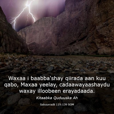 Picture 03 - Sabuurradii 119:139 SOM - Waxaa i baabba'shay qiirada aan kuu qabo, Maxaa - Bible Verse Picture