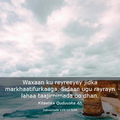 Picture 03 - Sabuurradii 119:14 SOM - Waxaan ku reyreeyey jidka markhaatifurkaaga, - Bible Verse Picture