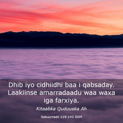 Picture 03 - Sabuurradii 119:143 SOM - Dhib iyo cidhiidhi baa i qabsaday. Laakiinse - Bible Verse Picture