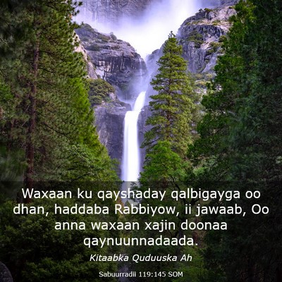 Picture 03 - Sabuurradii 119:145 SOM - Waxaan ku qayshaday qalbigayga oo dhan, haddaba - Bible Verse Picture