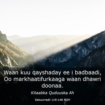 Picture 03 - Sabuurradii 119:146 SOM - Waan kuu qayshaday ee i badbaadi, Oo - Bible Verse Picture