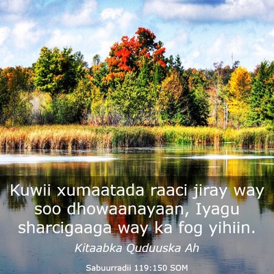 Picture 03 - Sabuurradii 119:150 SOM - Kuwii xumaatada raaci jiray way soo dhowaanayaan, - Bible Verse Picture