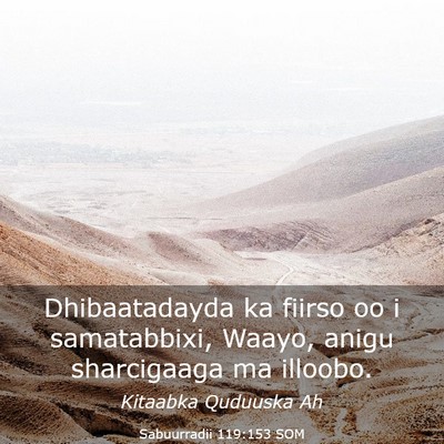 Picture 03 - Sabuurradii 119:153 SOM - Dhibaatadayda ka fiirso oo i samatabbixi, Waayo, - Bible Verse Picture