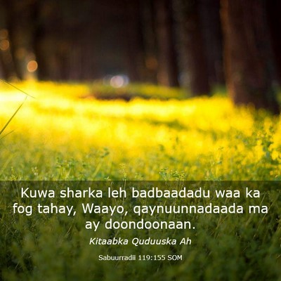 Picture 03 - Sabuurradii 119:155 SOM - Kuwa sharka leh badbaadadu waa ka fog tahay, - Bible Verse Picture