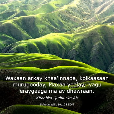 Picture 03 - Sabuurradii 119:158 SOM - Waxaan arkay khaa'innada, kolkaasaan murugooday, - Bible Verse Picture