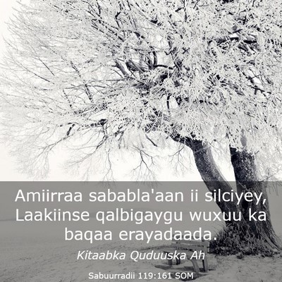 Picture 03 - Sabuurradii 119:161 SOM - Amiirraa sababla'aan ii silciyey, Laakiinse - Bible Verse Picture