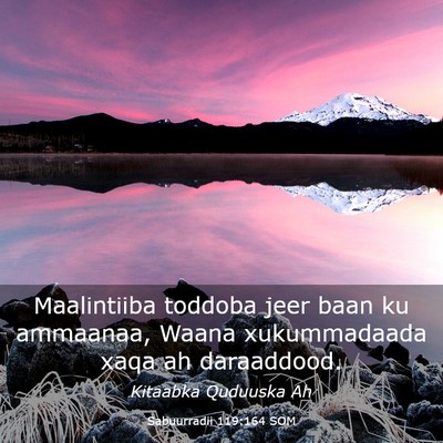 Picture 03 - Sabuurradii 119:164 SOM - Maalintiiba toddoba jeer baan ku ammaanaa, Waana - Bible Verse Picture
