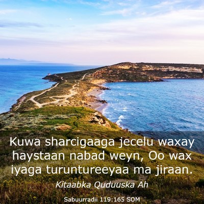 Picture 03 - Sabuurradii 119:165 SOM - Kuwa sharcigaaga jecelu waxay haystaan nabad - Bible Verse Picture