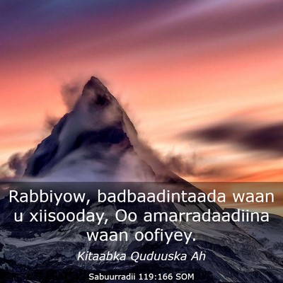 Picture 03 - Sabuurradii 119:166 SOM - Rabbiyow, badbaadintaada waan u xiisooday, Oo - Bible Verse Picture