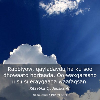 Picture 03 - Sabuurradii 119:169 SOM - Rabbiyow, qayladaydu ha ku soo dhowaato hortaada, - Bible Verse Picture