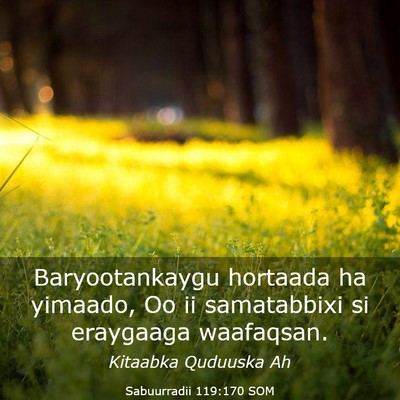Picture 03 - Sabuurradii 119:170 SOM - Baryootankaygu hortaada ha yimaado, Oo ii - Bible Verse Picture