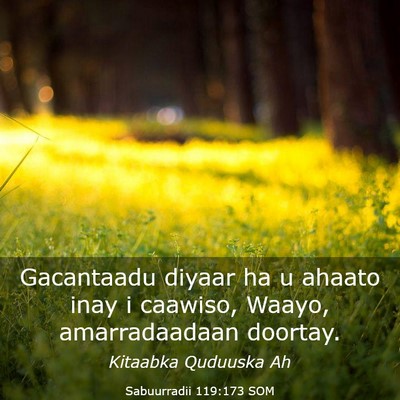 Picture 03 - Sabuurradii 119:173 SOM - Gacantaadu diyaar ha u ahaato inay i caawiso, - Bible Verse Picture