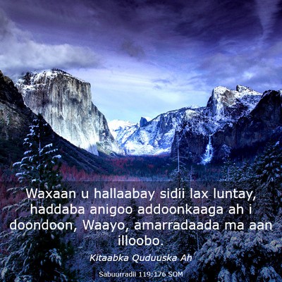 Picture 03 - Sabuurradii 119:176 SOM - Waxaan u hallaabay sidii lax luntay, haddaba - Bible Verse Picture