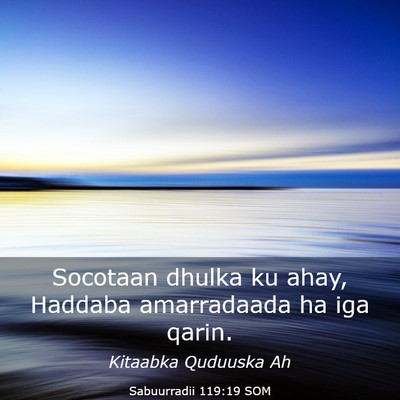 Picture 03 - Sabuurradii 119:19 SOM - Socotaan dhulka ku ahay, Haddaba amarradaada ha - Bible Verse Picture